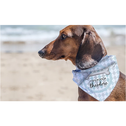 Bandana