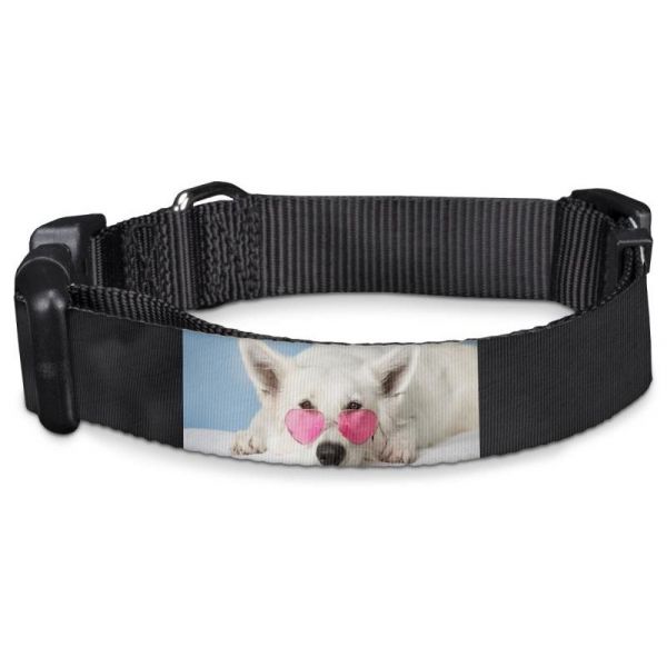 Collar