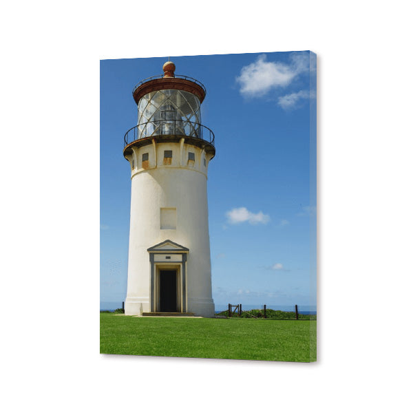 Acrylic Print