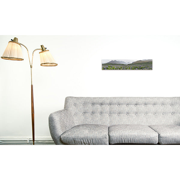 Panoramic Print