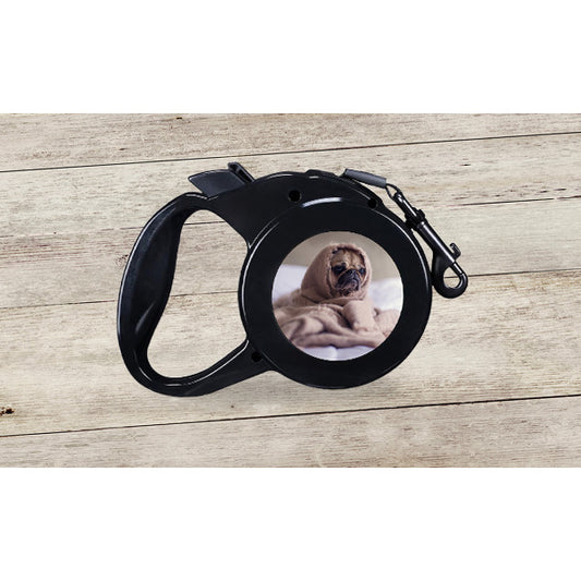 Retractable Leash