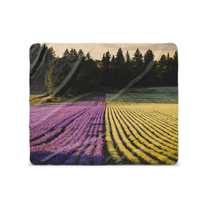 Blanket