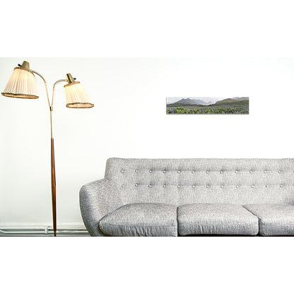Panoramic Print